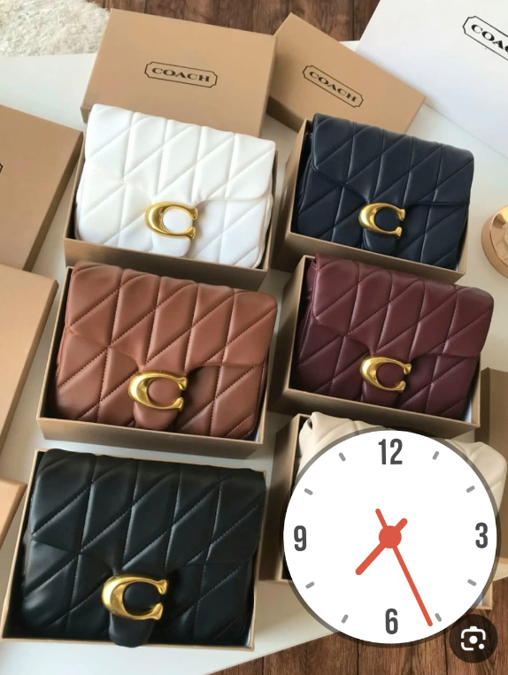 شنطة من كوتش – Coach Bag